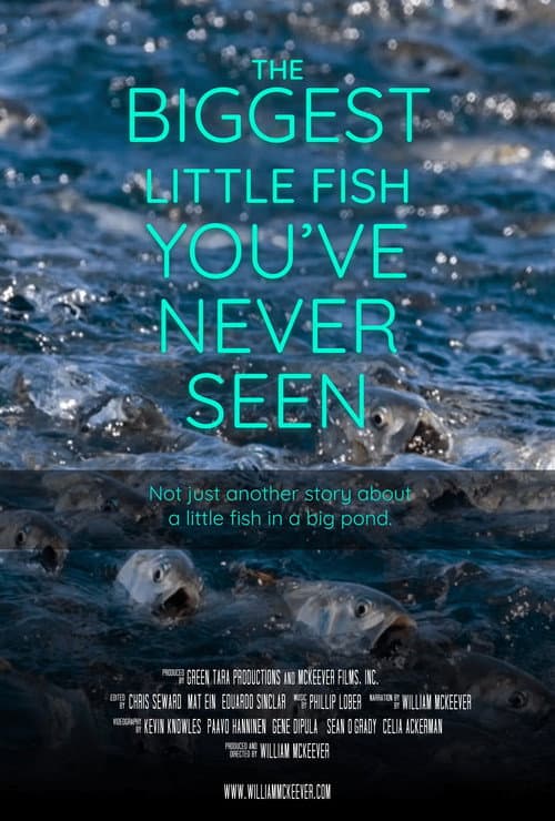 Постер: The Biggest Little Fish You've Never Seen