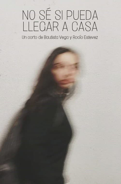 Постер: No sé si pueda llegar a casa