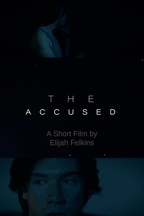 Постер: The Accused