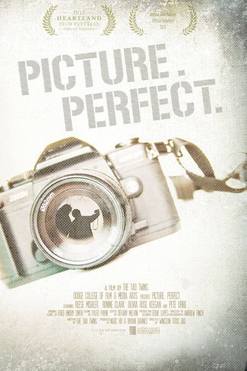 Постер: Picture. Perfect.