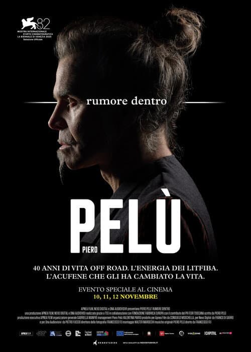 Постер: Piero Pelù - Rumore dentro
