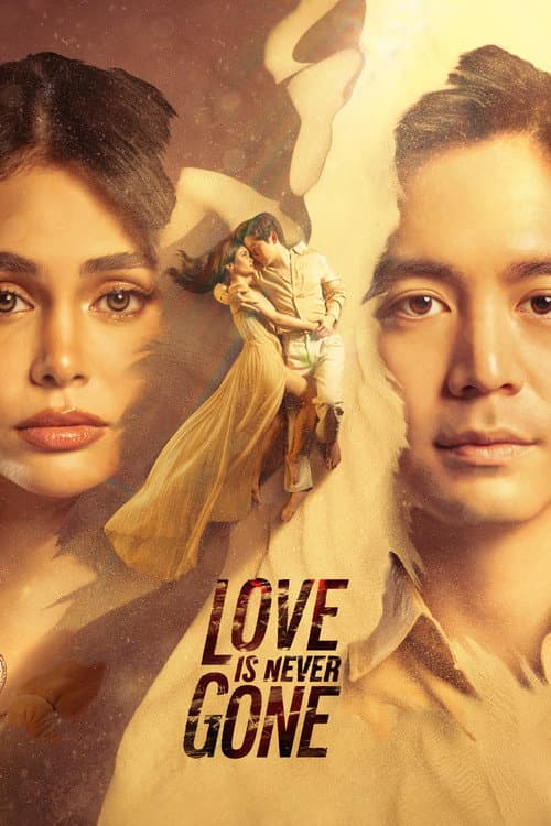 Постер: Love Is Never Gone