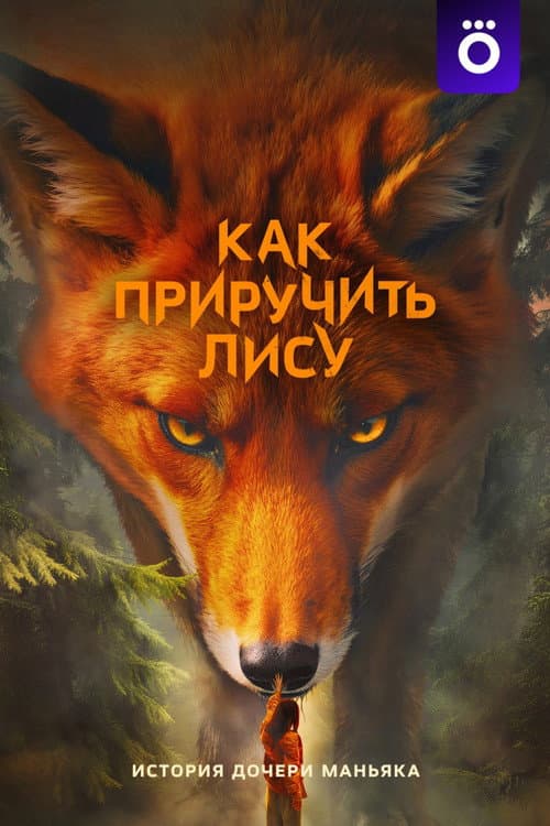 Кадр 3
