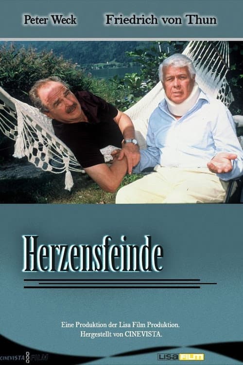 Постер: Herzensfeinde