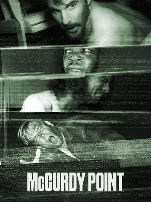 Постер: McCurdy Point