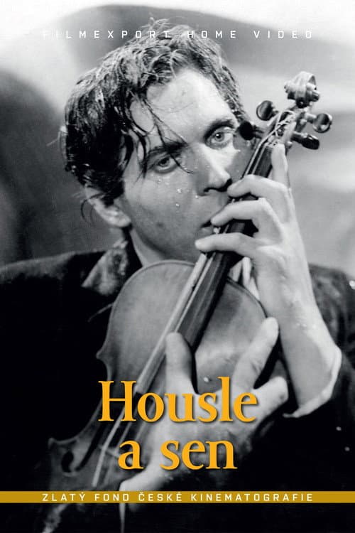 Постер: Housle a sen