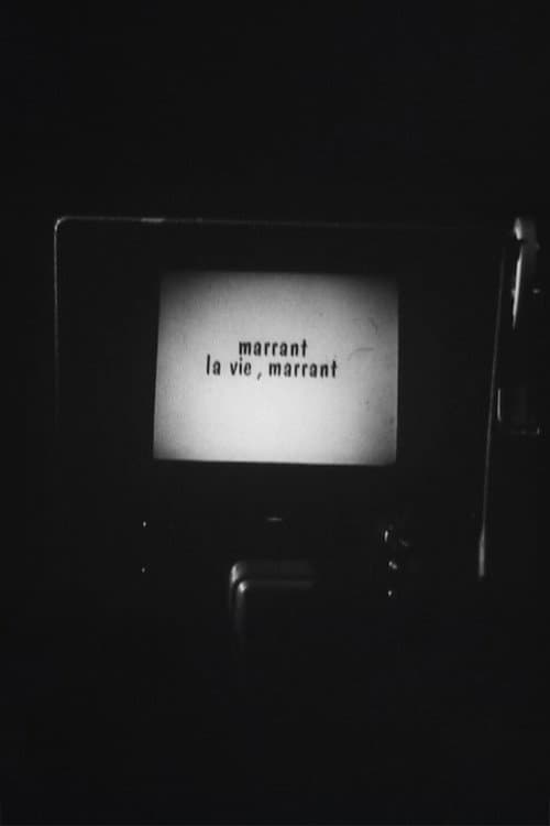 Постер: Marrant la vie, Marrant !