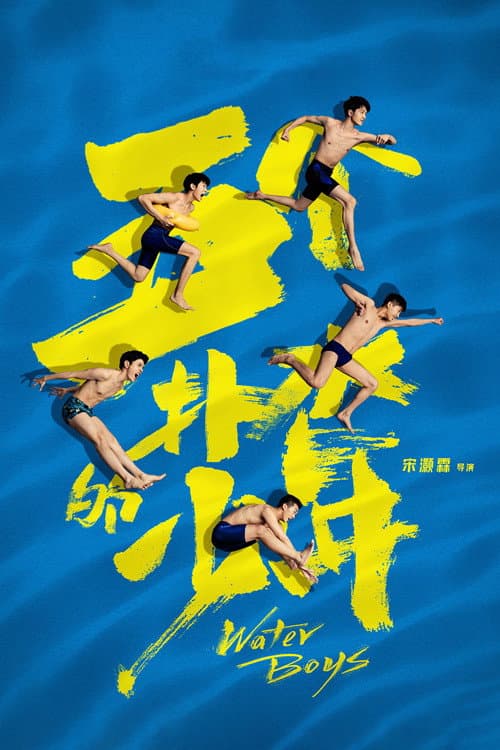 Постер: 五个扑水的少年