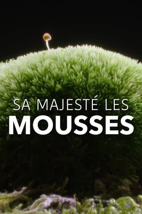 Постер: Sa Majesté les mousses