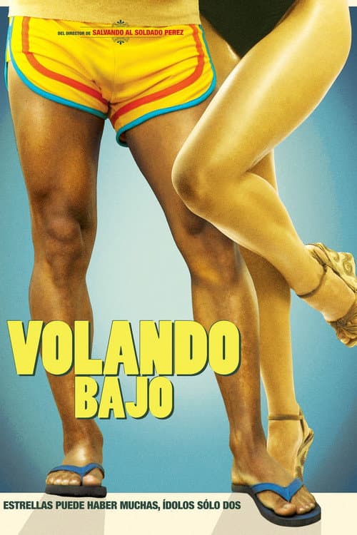Постер: Volando bajo