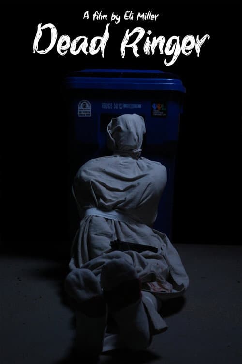 Постер: Dead Ringer