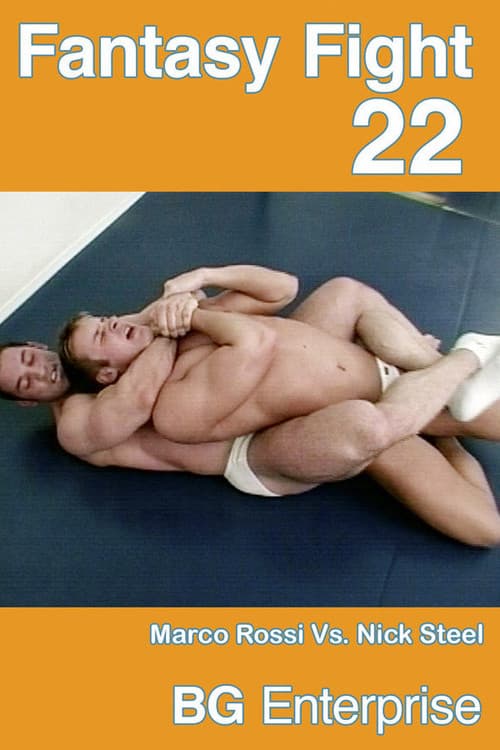 Постер: Fantasy Fight 22