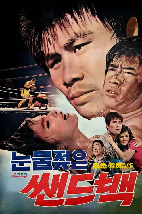 Постер: 눈물 젖은 샌드백