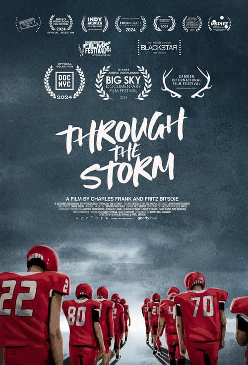Постер: Through the Storm