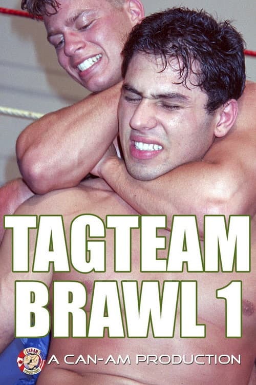 Постер: Tag Team Brawl 1