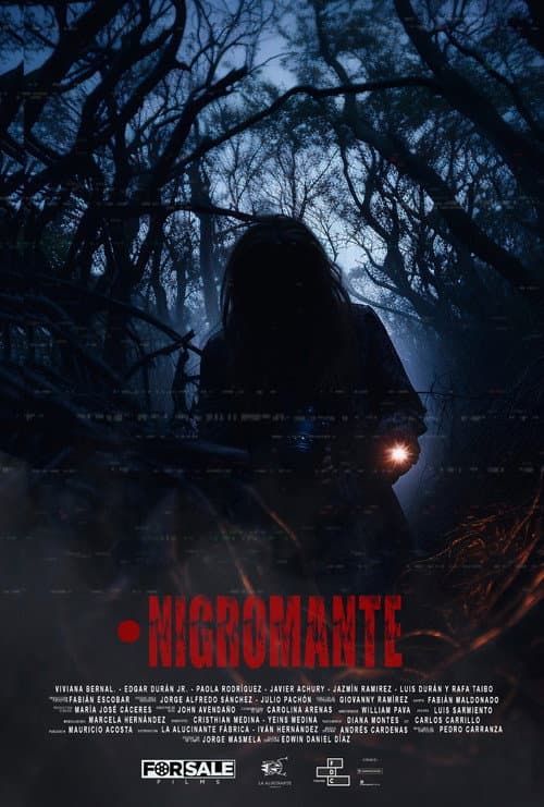 Постер: Nigromante