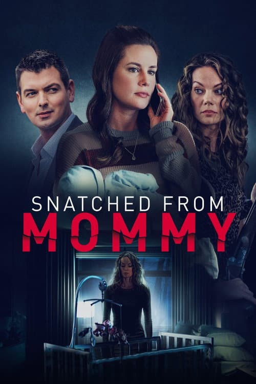 Постер: Snatched from Mommy