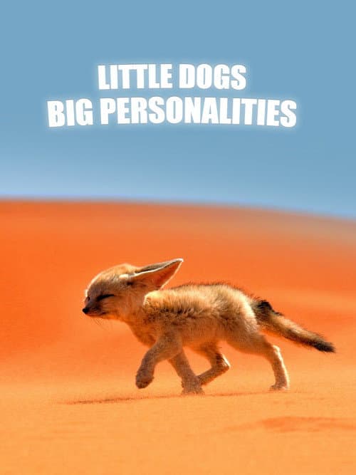 Постер: Little Dogs, Big Personalities