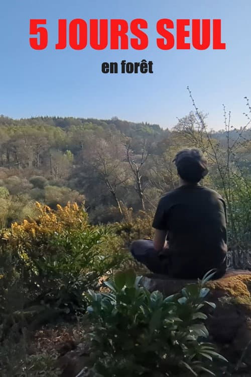 Постер: 5 jours seul en forêt