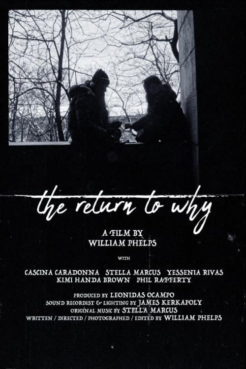 Постер: The Return to Why