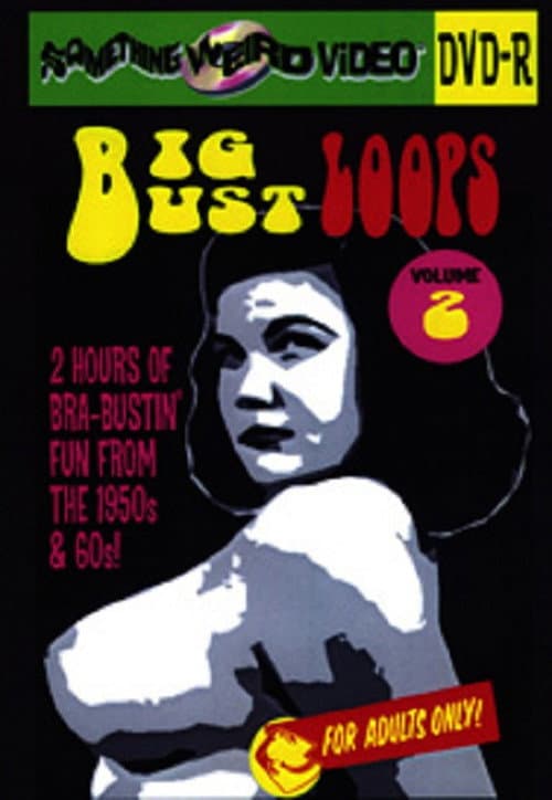 Постер: Big Bust Loops Volume 2