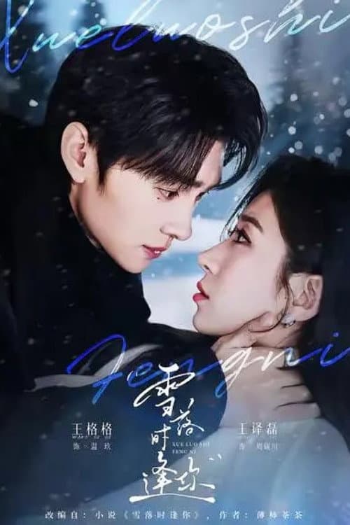 Постер: 雪落时逢你