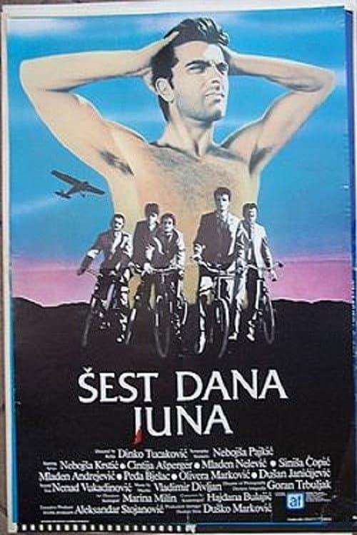 Постер: Šest dana juna