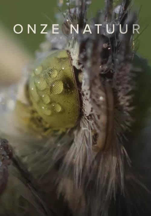 Постер: Onze natuur