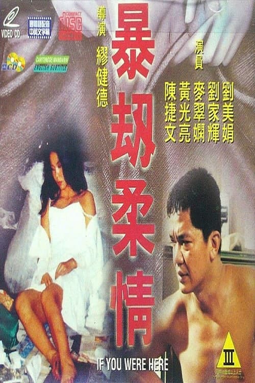Постер: 暴劫柔情
