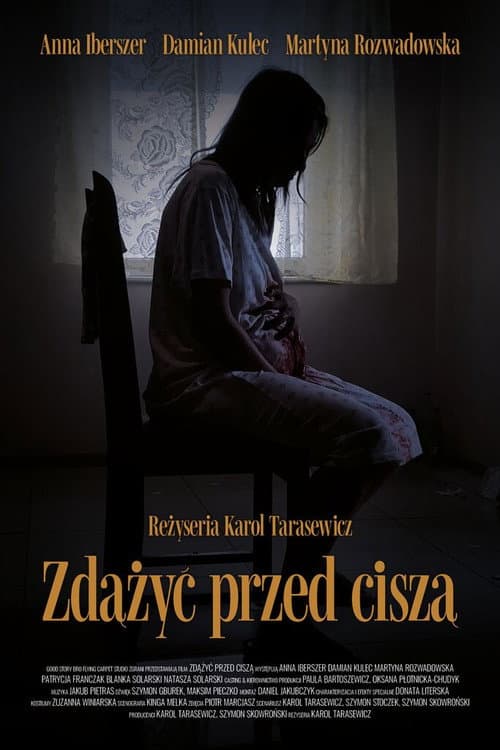 Постер: Zdążyć przed ciszą