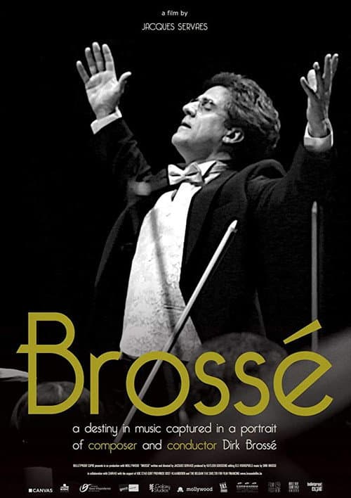 Постер: Brossé