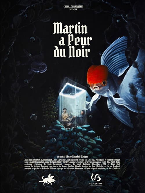 Постер: Martin a peur du noir