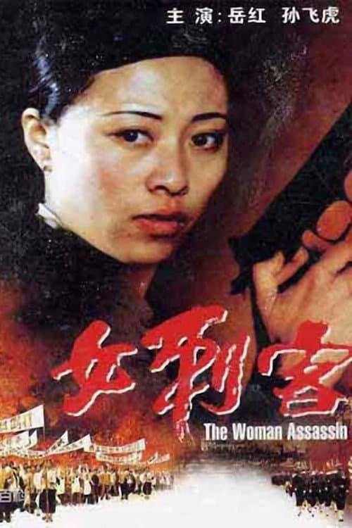 Постер: 女刺客