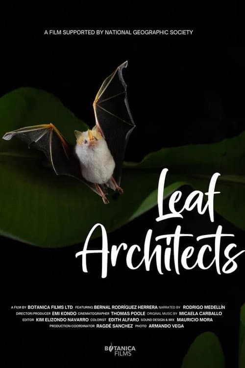 Постер: Leaf Architects
