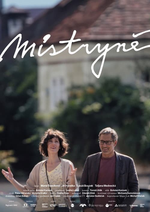 Постер: Mistryně