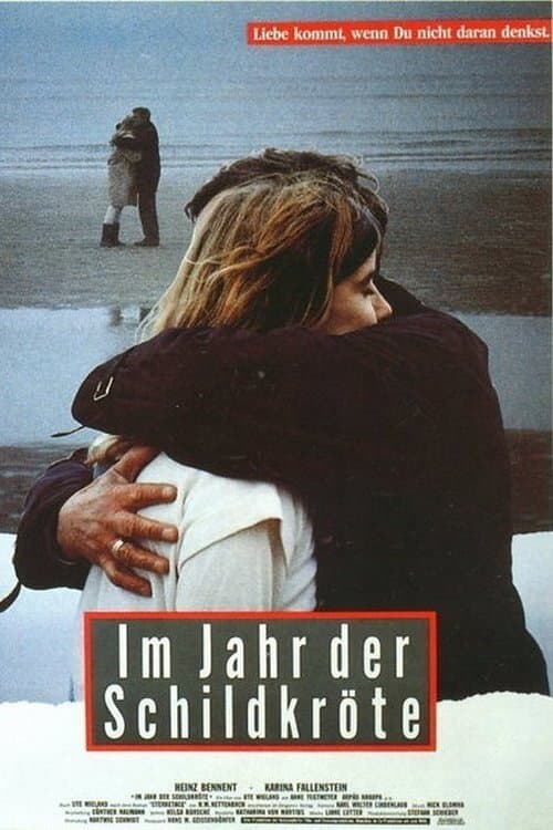 Постер: Im Jahr der Schildkröte