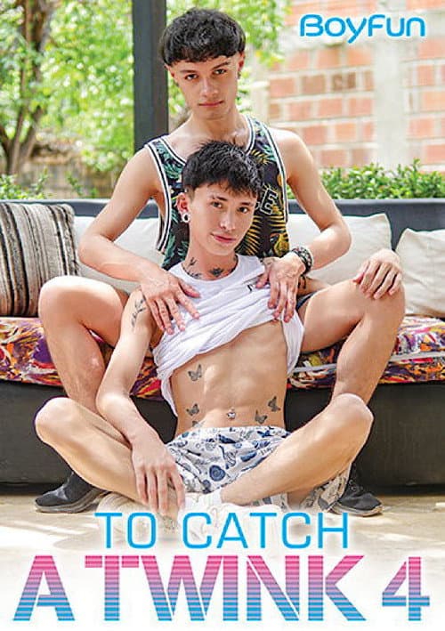Постер: To Catch a Twink 4
