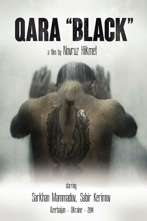 Постер: Qara