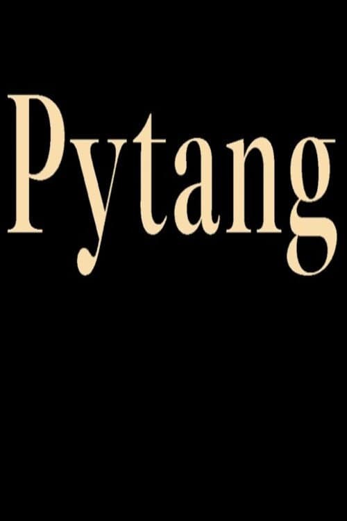 Постер: Pytang