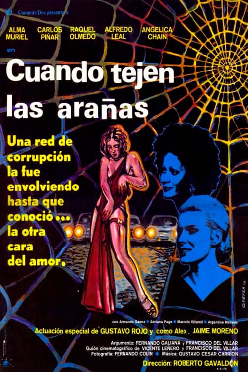 Постер: Cuando tejen las arañas