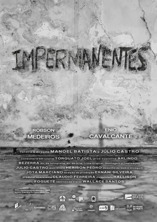 Постер: Impermanentes