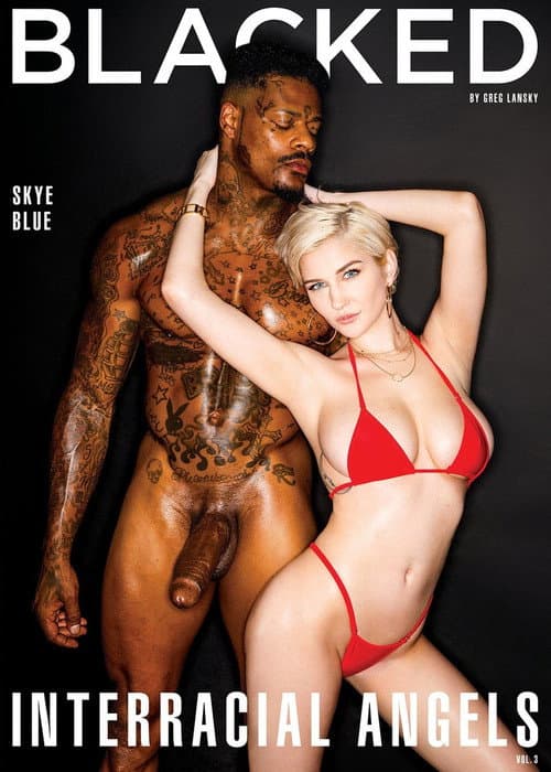 Постер: Interracial Angels 3
