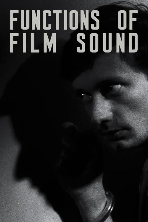 Постер: Functions of Film Sound