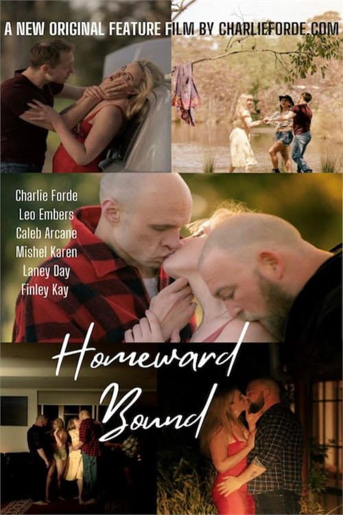 Постер: Homeward Bound