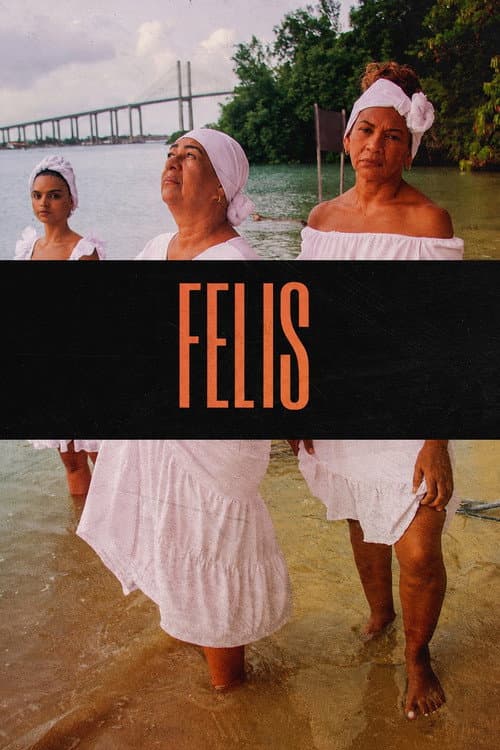 Постер: Felis