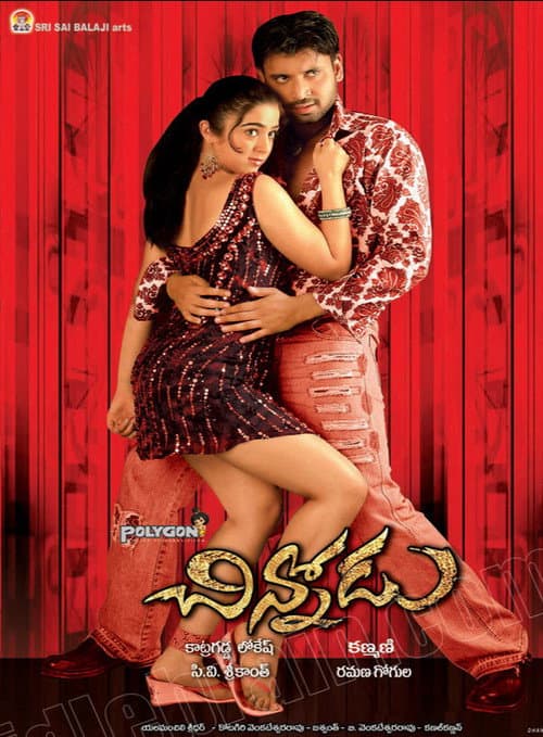 Постер: చిన్నోడు
