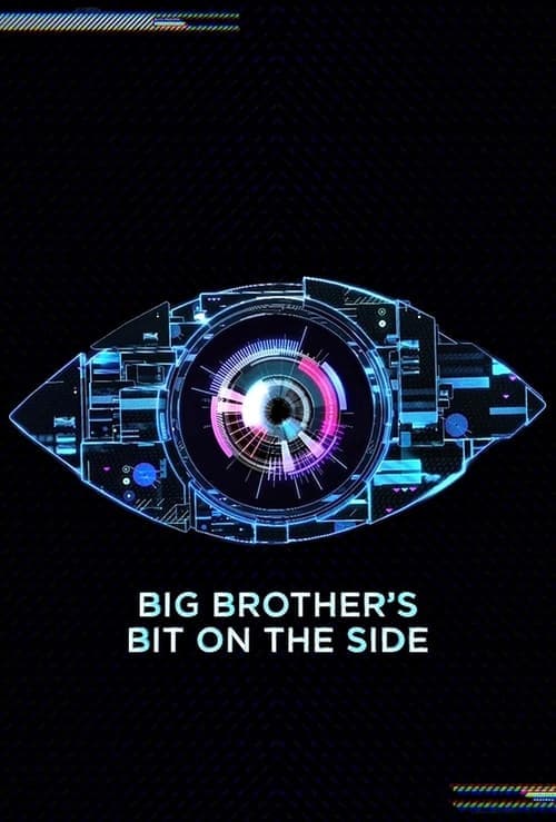 Постер: Big Brother's Bit on the Side