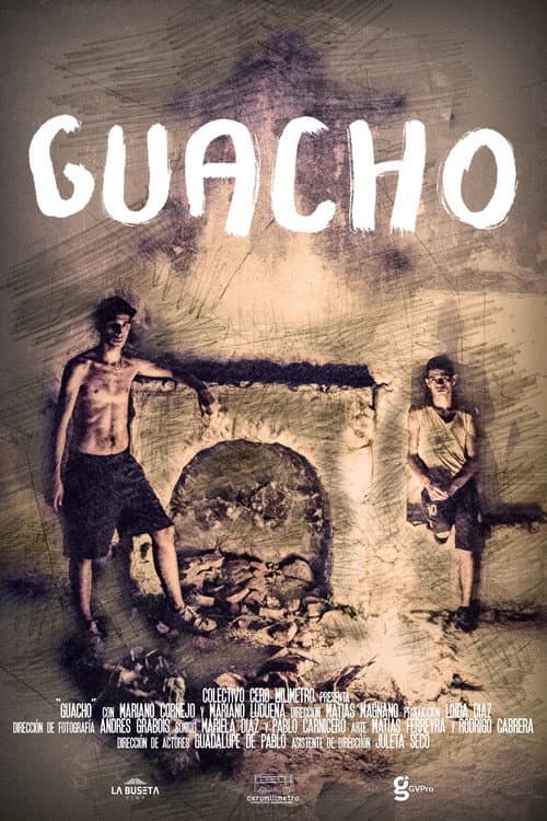 Постер: Guacho