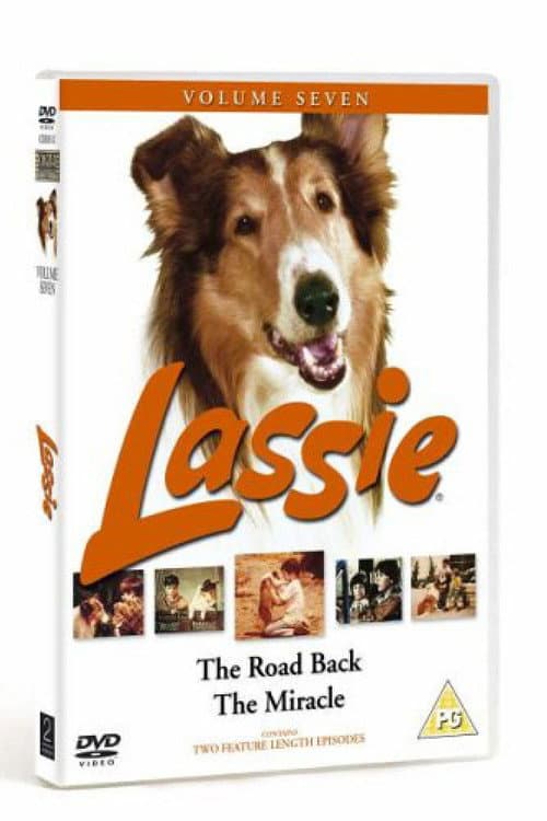 Постер: Lassie - The Road Back