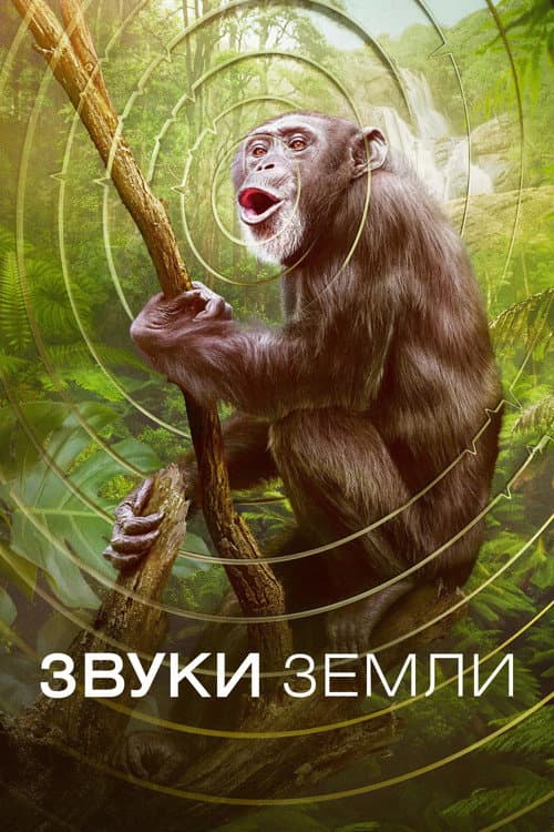 Постер: Звуки Земли